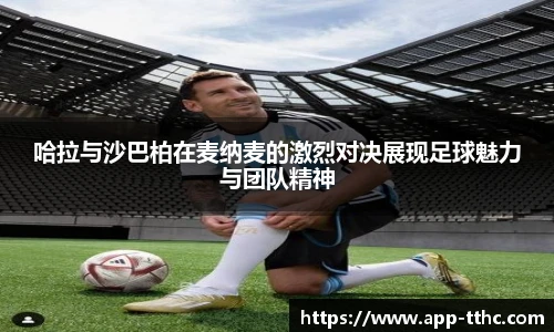 澳门天天好彩官网